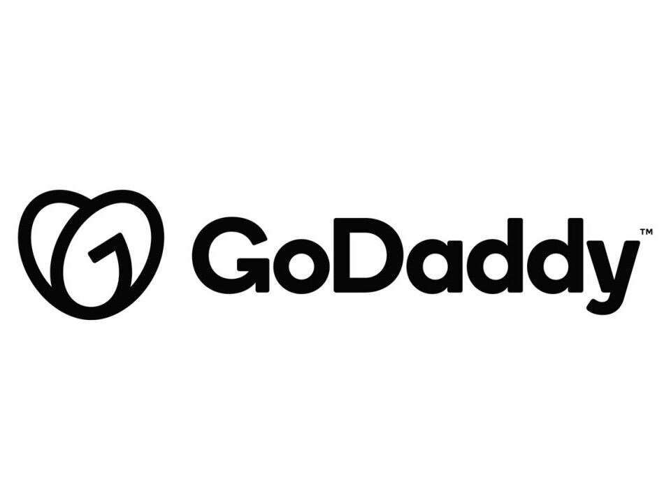 Marketing Campaign of GoDaddy