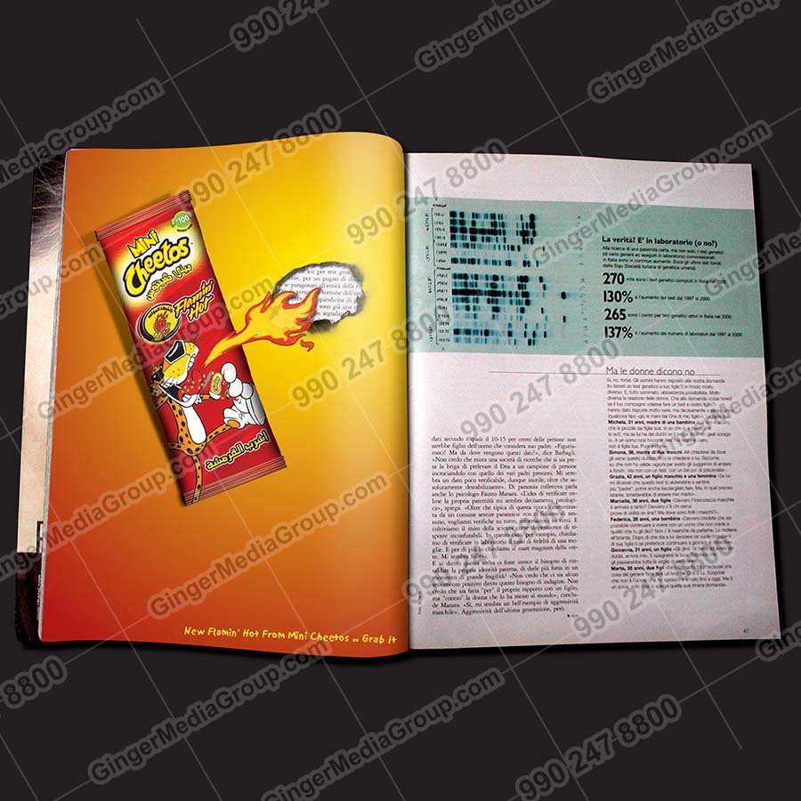 magazine advertising kolkata cheetos