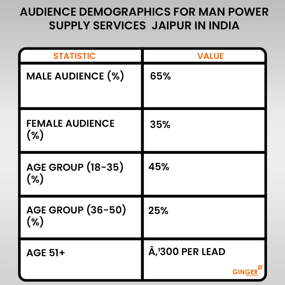 audience demographics for man power supply services jaipur in india