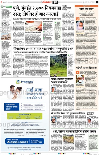 progenesis lokmat pune newspaper advertising