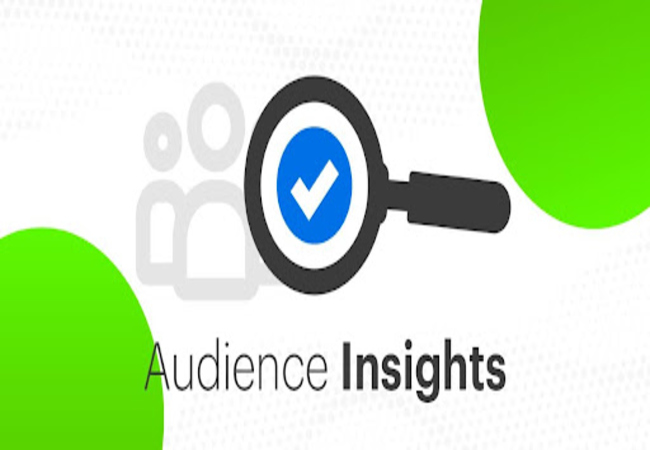 Analyzing Audience Insights
