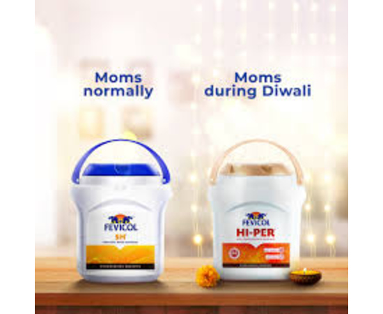 fevicol-the-bond-of-love - Ginger Media Group fevicol the bond of love