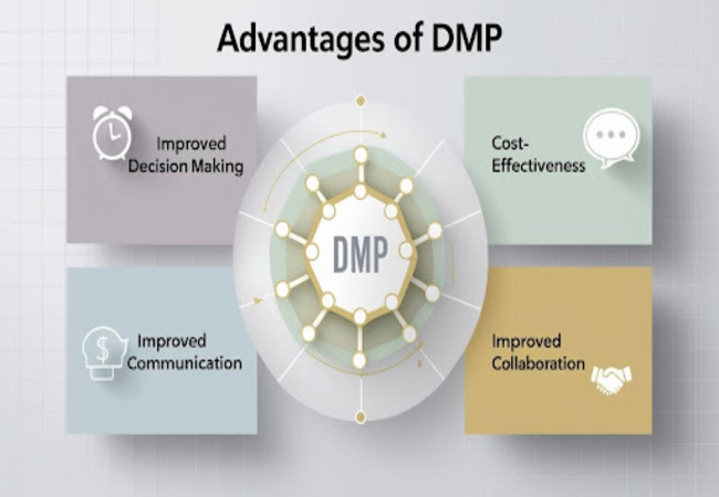 advantages-of-dmp - Ginger Media Group advantages of dmp