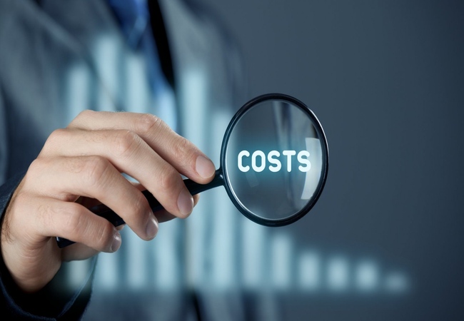 cost-efficiency - Ginger Media Group cost efficiency
